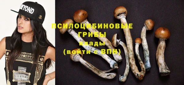 дмт Михайловск
