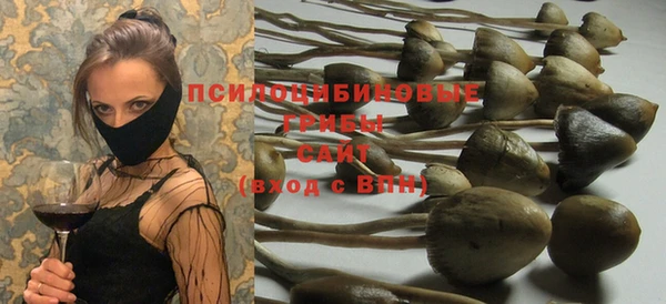 дживик Медногорск