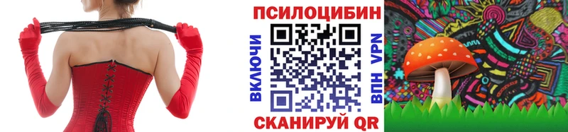 купить наркотик Приволжск Галлюциногенные грибы MAGIC MUSHROOMS
