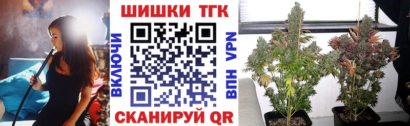 дарнет шоп  Приволжск  Шишки марихуана семена 